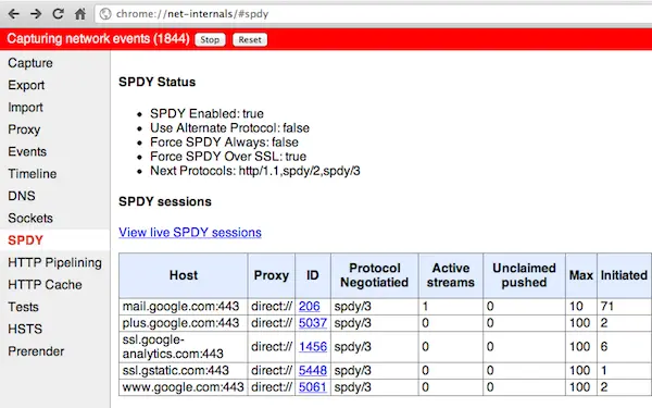 SPDY sessions in Chrome